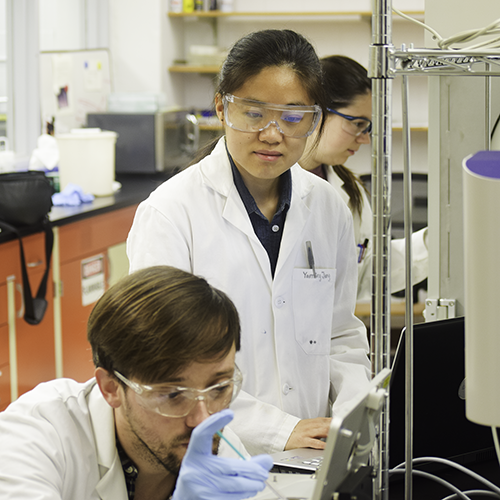 Scientists working at the Characterization Facility